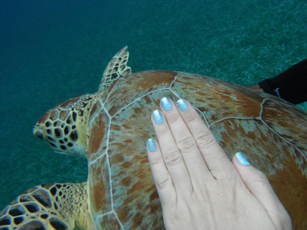 Shaka Caye All inclusive Resort Belize City Dış mekan fotoğraf